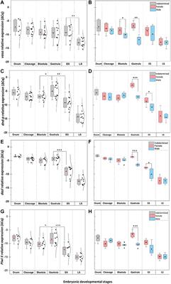 Primordial Germ Cell Development in the Poeciliid, Gambusia holbrooki, Reveals Shared Features Between Lecithotrophs and Matrotrophs